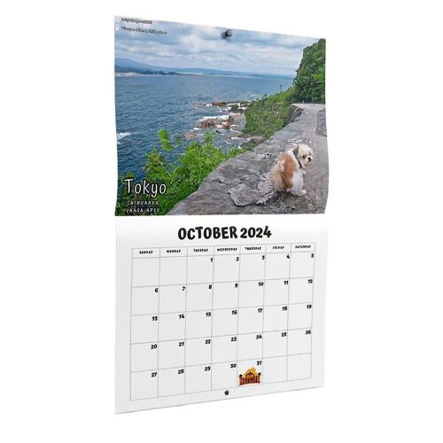 Caca de chien dans le beau calendrier 2024 (pré-commande) - drôle Wall Art Noël vacances Gag cadeau Pran