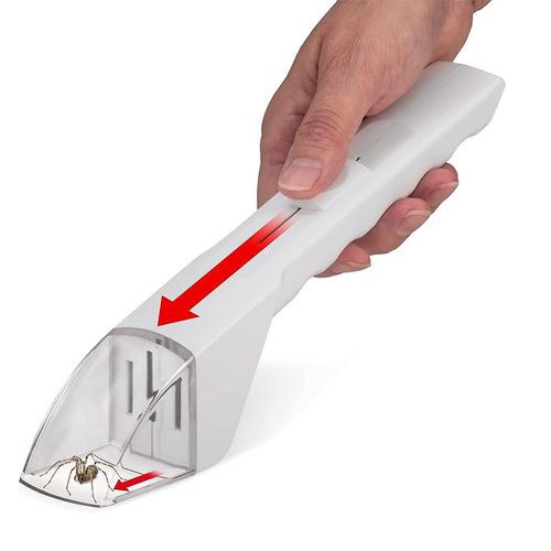 Insect Catcher Attrape-insectes portatif Spider Catcher Bee Insect Clamp Artéfact Outil de capture d¿insectes