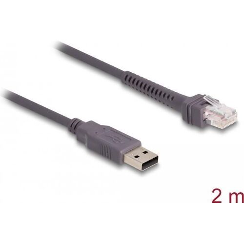 Delock Câble RJ50 vers USB 2.0 type A pour lecteur de codes à barres 2 m, PC : accessoires, Gris