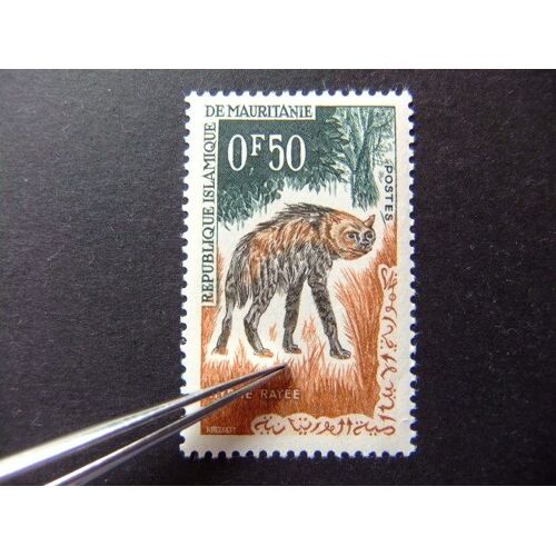 Mauritania Mauritanie 1963 Fauna Faune Hyène Rayée Yvert 165 ** Mnh