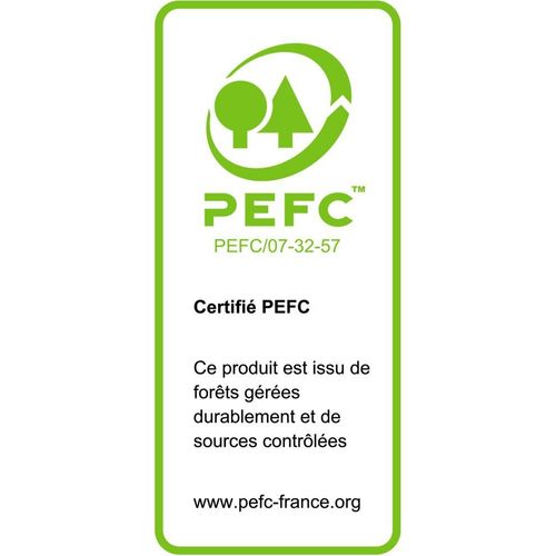 Abri De Jardin En Bois Dresden 248x298cm