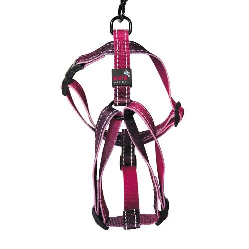 Harnais Pour Chien Reflex Bordeaux Longueur 70/90cm