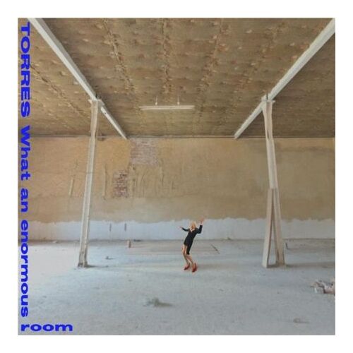 What An Enormous Room - Vinyle 33 Tours