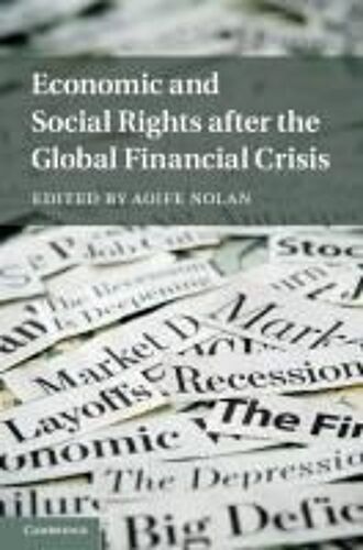 Economic And Social Rights After The Global Financial Crisis