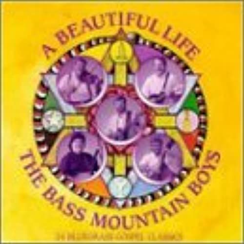 Beautiful Life