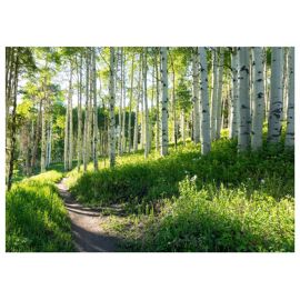 Papier Peint Panoramique Intissé Vert Foret 350x250 cm - Colle Inclus - Chambre et Salon - Moderne Papier Peint
