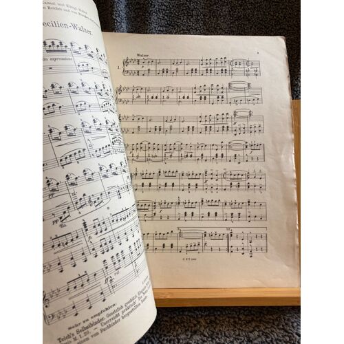 Paul Voigt Cecilien Walzer Pour Piano Opus 85 Partition Éditions C. F. Feich