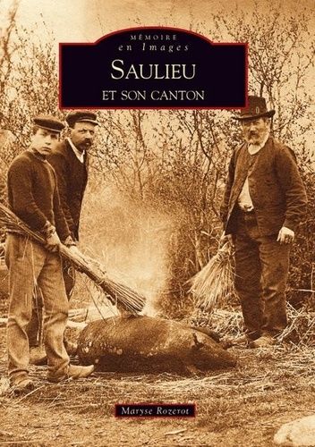 Saulieu Et Son Canton