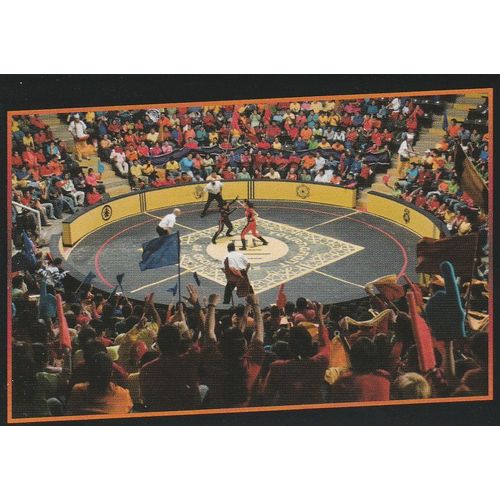 N°79 - Stickers Image Panini Dragonball Evolution - Le Film