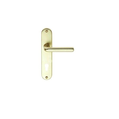 770349 - Ensemble de poignées de porte modèle COURCHEVEL en aluminium anodisé couleur champagne