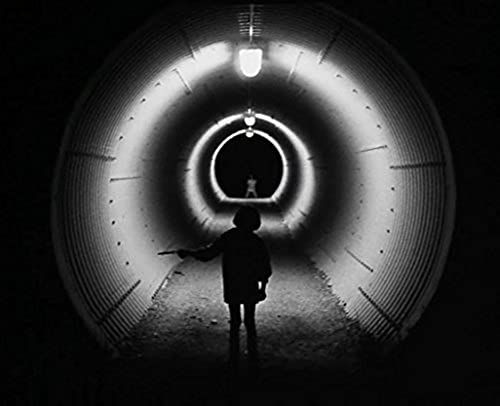 Le Revelateur [12 Inch Analog]