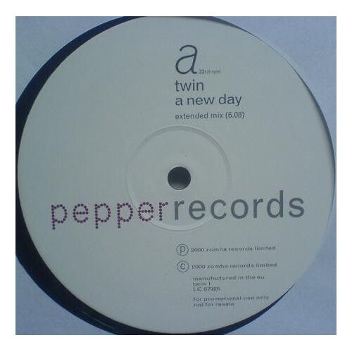 A New Day ( Maxi 45 Tours )