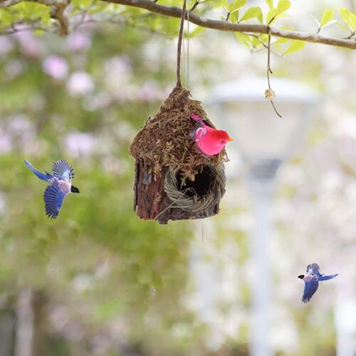 Nid D'oiseau En Herbe Naturelle, Cage À ¿Ufs, Maison À Oiseaux Tissée, Décoration D'extérieur, Chambre À Coucher, Volière D'extérieur