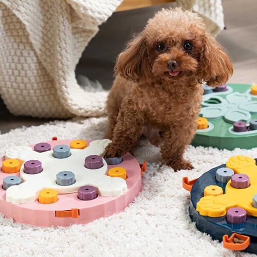 Jouet De Puzzle Interactif Pour Chien, Pour L'entraînement Au Qi, Plateau D'alimentation Lente, Chiot, Jouets Éducatifs Pour Petits Et Moyens Chiens 40ja