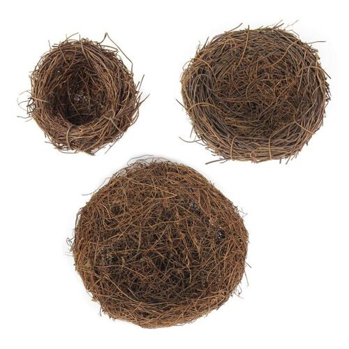 Nid D'oiseau Tissé À La Main 40ja, Cabane En Fiber Naturelle Pour Le Finch