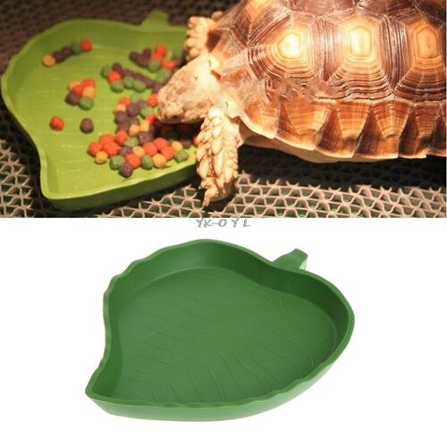 Bol En Plastique Pour Nourriture Et Eau De Reptile, Mangeoire À Ver En Forme De Feuille, 2 Tailles