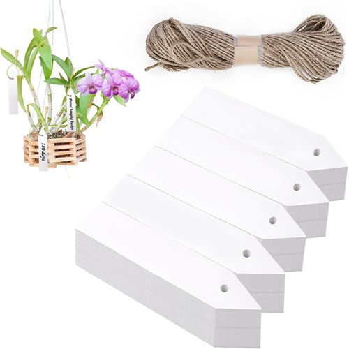 Asfasfq-Tiquettes De Plantes 100 Pièces Étiquettes De Jardin Pour Plantes D'extérieur Étiquettes De Plantes Réutilisables Étiquettes De Plantes En Plastique (Blanc)