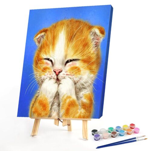 Peinture À L'huile Par Numéros De Chat Mignon, Dessin, Image, Décoration De Salon, Maison, Cadeau D'anniversaire Pour Amis, Diy Bricolage