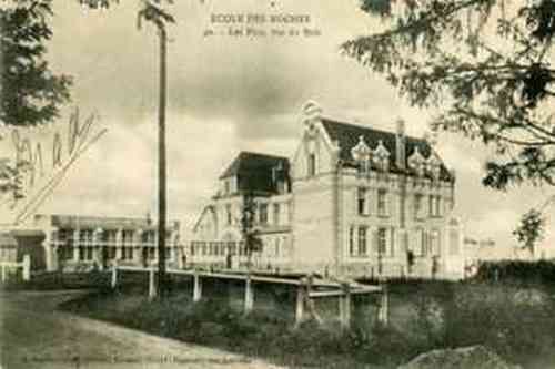 Ecole Des Roches Verneuil, N°30, Les Pins Vus Du Bois, Carte Écrite En 1908, Rare