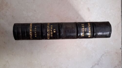 Le Vicaire De Wakefield - Voyage Sentimental