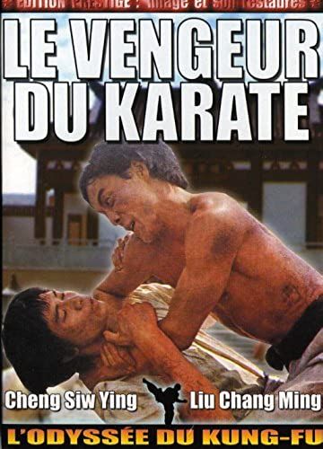 Le Vengeur Du Karaté