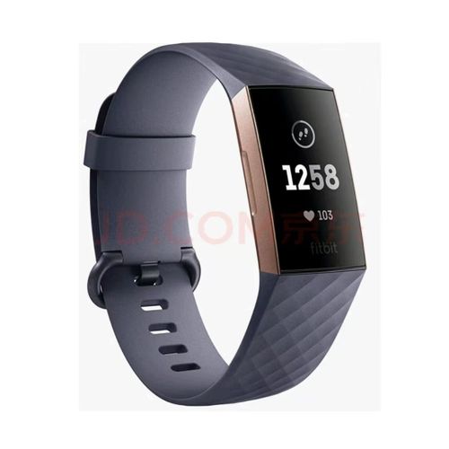 Fitbit Charge 3 smart bracelet Couleur bleu gris