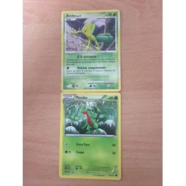 Arcko + Massko (Pokemon)