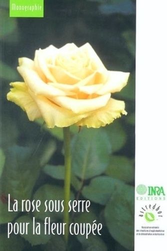 La Rose Sous Terre Pour La Fleur Coupée