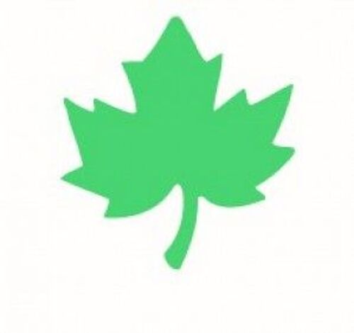 Perforatrice Feuille - 1.6 Cm