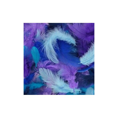 Plumes Teintes Bleues 10 G