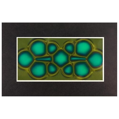 Film de visualisation magnétique, visionneuse de champ magnétique de 2 pouces x 4 pouces pour les projets scientifiques, récupération réutilisable et automatique