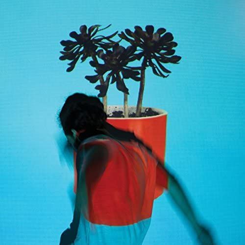Sunlit Youth [Vinyl]