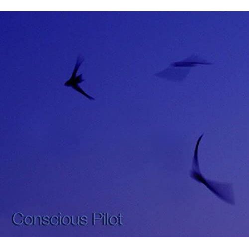 Conscious Pilot