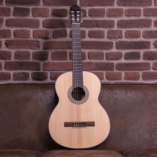 Walden Wan550ew Natura 500 - Guitare Classique
