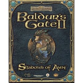 Baldur S Gate Ii: Shadow Of Amn Pc