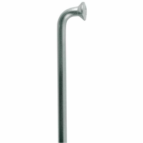 Boîte De 100 Rayons Coudés Dt Swiss Champion M 2x276 Mm Inoxydable