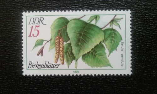 Timbre Allemagne Rda ( Yt 1958 ) 1978 Plantes Médicales Betula Pendula