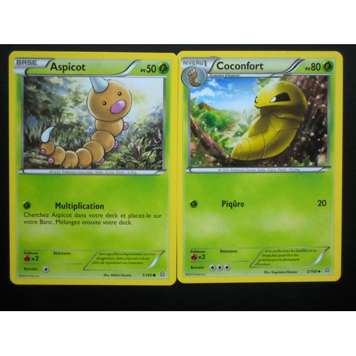 Primo Choc - Aspicot (1) + Coconfort (2/160)