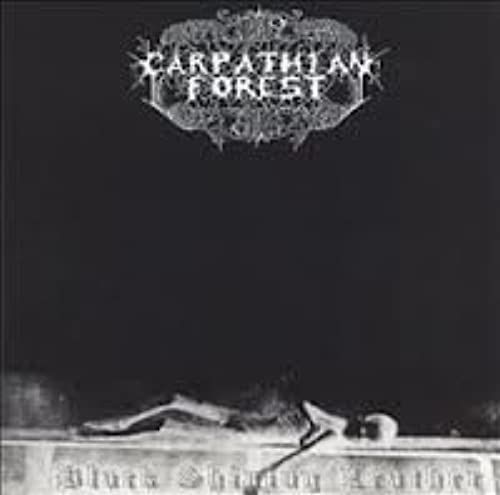 Black Shining Leather /Through