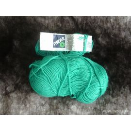 Phildar Pronostic Vert Menthe Entamée