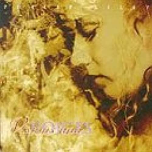 Celtic Visions And Voices