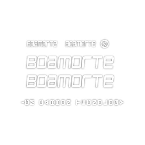 Pegatinas Cuadro Bici Boamorte Igm Carbon