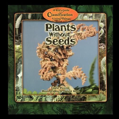 Plants Without Seeds