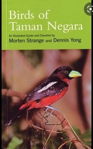 Birds Of Taman Negara - Morten Strange And Dennis Yong