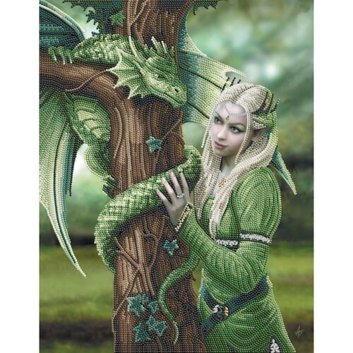 Crystal Art Kit Poster À Diamanter 35x45cm Anne Stokes Magicienne