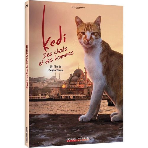 Kedi - Des Chats Et Des Hommes