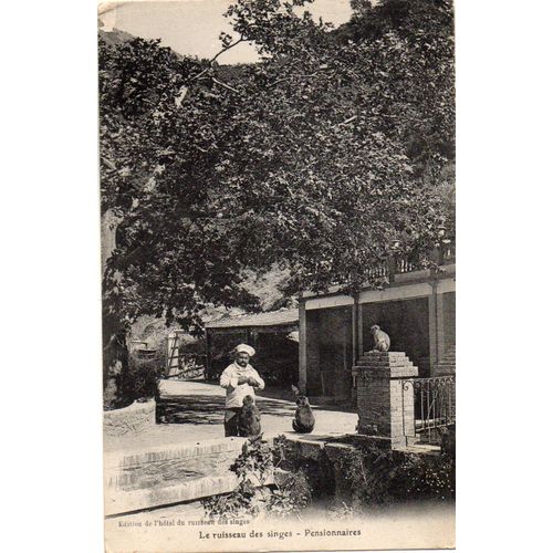 Cpa Le Ruisseau Des Singes - Algerie -Pensionnaires