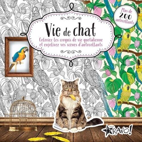 Vie De Chat