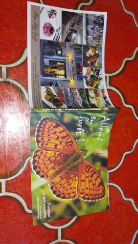 Allons En Forêt Promenade En Forêt Mouansoise