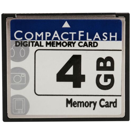 Carte mémoire flash professionnelle de 4 Go (blanc et bleu)
